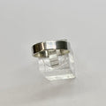 The Titan Band Ring